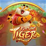 fortune tiger baccarat online